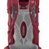 Rucksacks Lowe Alpine Backpacking Packs | Lowe Alpine Womens Airzone Trek Nd33:40 Rucksack - Raspberry Red