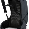 Rucksacks Osprey Day Packs | Osprey Mens Talon 22 Rucksack - Eclipse Grey