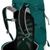 Rucksacks Osprey Day Packs | Osprey Womens Tempest 30 Rucksack - Jasper Green