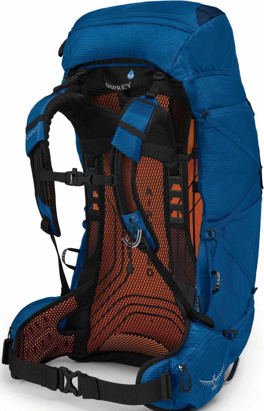 Rucksacks Osprey Fast & Light Rucksacks And Vests | Osprey Exos 58 Rucksack Ribbon Blue