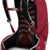 Rucksacks Osprey Day Packs | Osprey Mens Talon 22 Rucksack - Cosmic Red