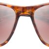 Clothing Bloc Eyewear Eyewear | Bloc Cruise 2 Sunglasses - Shiny Tortoiseshell Graduated Cat 3 Lens Brown