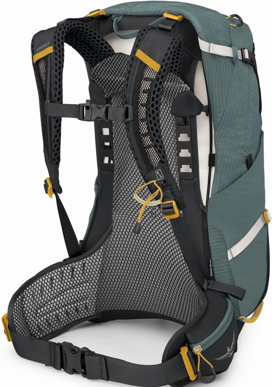 Rucksacks Osprey Day Packs | Osprey Womens Sirrus 24 Rucksack - Succulent Green